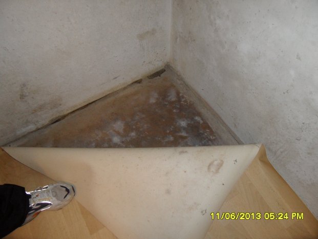 Kellerwand und Kellerboden unter PVC mit massivem Schimmelbefall.png
