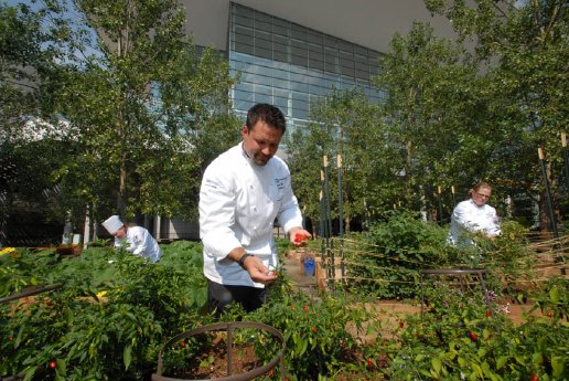 Landwirtschaft mitten in der Stadt (c) Stevie Crecelius.jpg