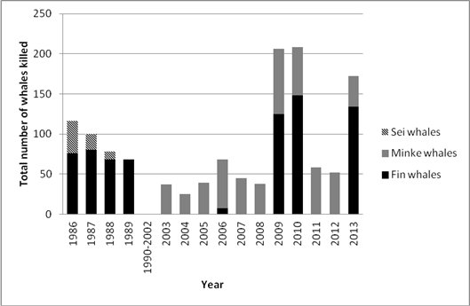Grafik gettete Wale 1986 bis 2013.png