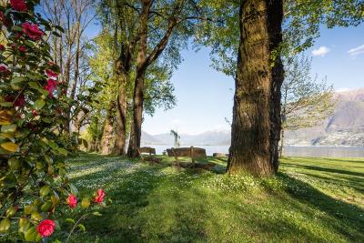 Am Ufer des Lago Maggiore – von Tenero zum Kamelienpark nach Locarno