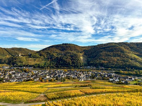 Landschaft_Weinberg_Wald_Herbst_Burg_Mosel_Bernkastel_Kues (2).jpg