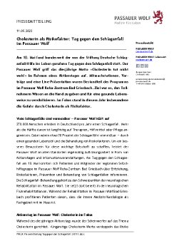 Pressemitteilung Tag gegen den Schlaganfall im Passauer Wolf 230511.pdf