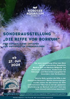 Plakat - Neue_Ausstellung_im_Nordsee_Aquarium.pdf