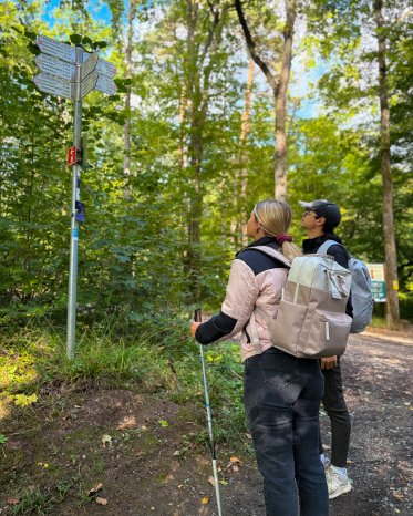 Wandern__c__Bayer._Staatsbad_Bad_Kissingen_GmbH_Foto_Nina_Pereira_Santo__5_.png