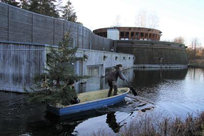 Weihnachtsbaum an Bord: Wildpark-Mitarbeiter Kay Östreich und Josefine Vater versenken die Tanne im Naturaquarium (Foto: Wildpark-MV)