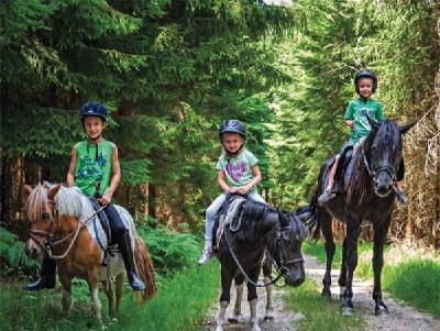 Im Hotel Bayerwaldhof in Bad Kötzting (Landkreis Cham) können die Gäste einen Reiturlaub mit ihrem eigenen Pferd oder einem Schulpferd genießen. Foto: obx-news/Hotel Bayerwaldhof