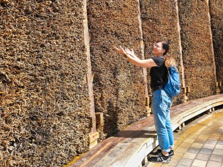 web Gradierwerk © Birgit-Cathrin Duval-1666x1249.jpg