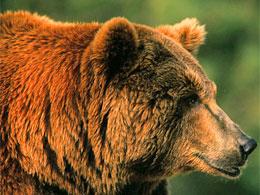 (c) Sanchez & Lope / WWF-Canon
