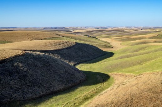 palouse_credit-jason-hummel_2.jpg