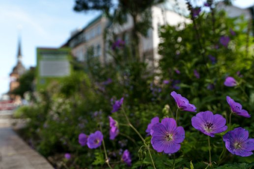 179 - LEFFERSECK_-22.jpg