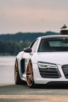 Aerotechnik Fahrzeugteile_R8-08012.jpg