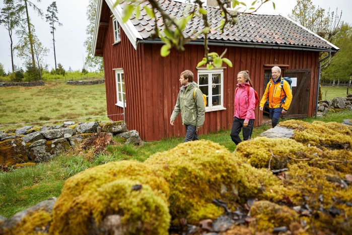 schweden-wikinger-reisaen-honorarfrei.jpg