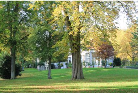 Das Laub der Bäume im Kurpark hat sich rötlich gefärbt / Foto: Kurverwaltung Bad Mergentheim