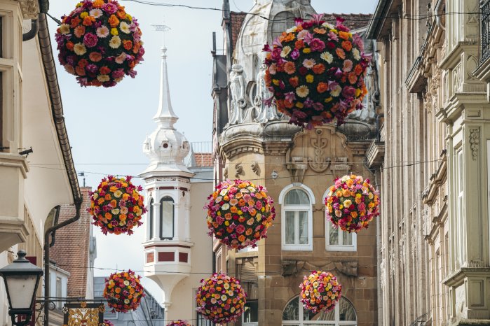 Konstanz-Altstadt-Flowerball-Rosgartenstrasse-01_Copyright_MTK-Leo-Leister.jpg