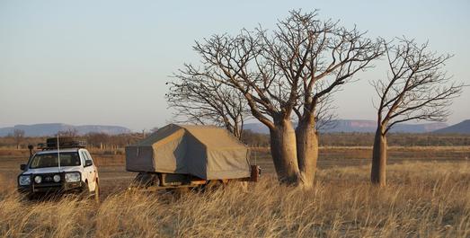 Crikey Campers