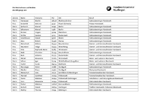 meister2011.pdf