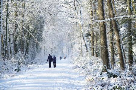 Das Winterwetter lockt viele Besucher in den Wald. Die Landesforsten bitten darum, aus Rücksicht auf die Wildtiere die Wege nicht zu verlassen. Bild: Niedersächsische Landesforsten