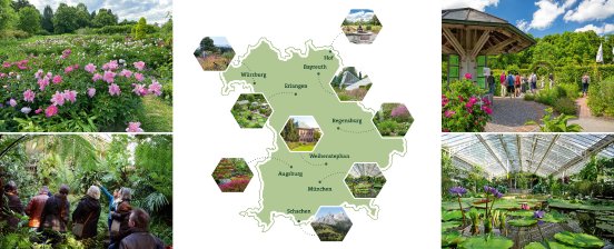 3 Botanische Gärten in Bayern_Grafik-Montage-1.jpg