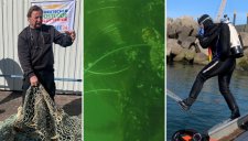 Im Rahmen eines Workshops wurden fünf Sporttaucher von der Gesellschaft zur Rettung der Delphine e.V. (GRD) und dem erfahrenen Geisternetztaucher Wolfgang Frank in Theorie und Praxis unterrichtet.