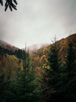 Harz_im_Herbst.jpg