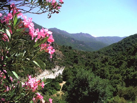 Italien_Sardinien_Landschaft.jpg