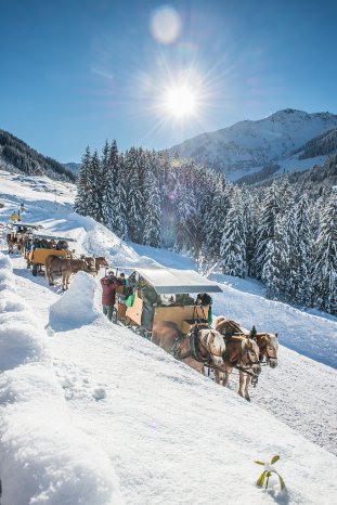 Auffach  Schönangeralm mit Pferdekutsche 1 Winter  Wildschönau Rechte Wildschönau Tourismus FG T.jpg