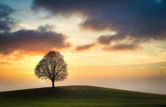 Einsamkeit wirksam begegnen_copyright_Pixabay_franz26-sky-5961642.jpg