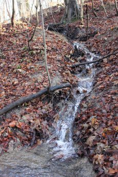 Wald und Wasser Foto AGDW.jpg