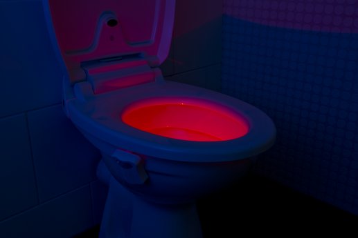 NX-8713_9_Lunartec_LED-Toilettenlichz_Daemmerungs_und_Bewegungs-Sensor_2_Modi_8_Farben.jpg
