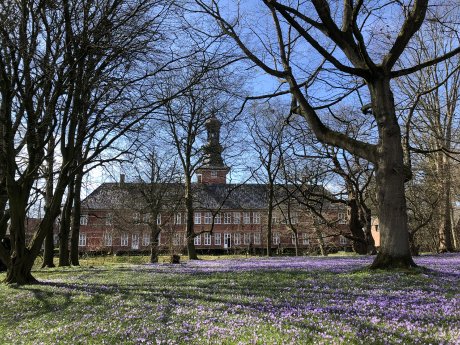 KrokusseSchloss-FotoMHC.jpeg