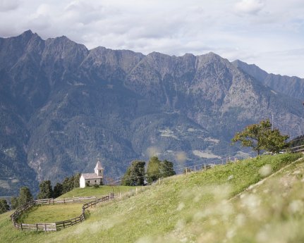 Aschbach_TV Algund-Armin Terzer (7).jpg