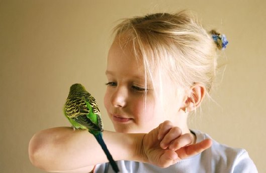csm_IVH_M%C3%A4dchen_mit_Sittich_2a43c846e7.jpg