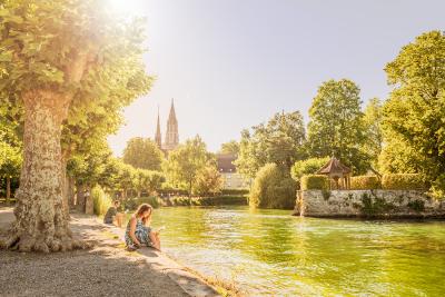 Stadtgarten / Bild: MTK-Dagmar Schwelle