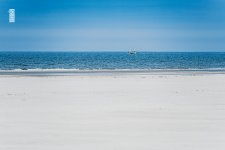 Meeresschutz beginnt vor der eigenen Haustür: Juist setzt sich aktiv für eine saubere Nordsee und nachhaltiges Umweltbewusstsein ein – nicht nur am Tag der Ozeane am 08.06., sondern ganzjährig (Foto: Lars Wehrmann)