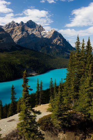 SK-Naturzeit-Peyto_Lake1.jpg