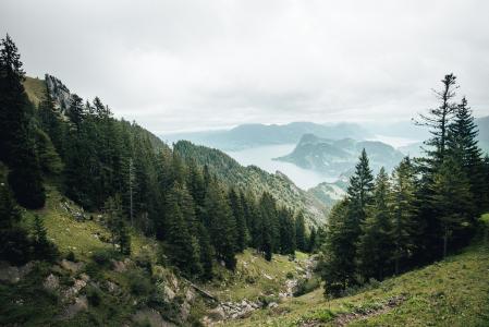 Blick aus der Zahnradbahn oberhalb Aemsigen am Pilatus_Fotograf_Twintheworld.ch
