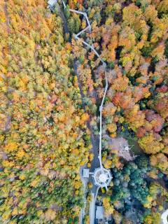 Herbst Baumwipfelpfad Fotoweberei Luca Weber