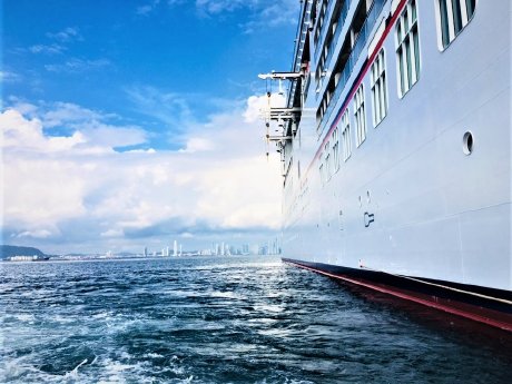 8819329930069319767 neu.jpg