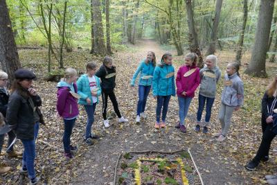 Neue Profis für die Waldpädagogik