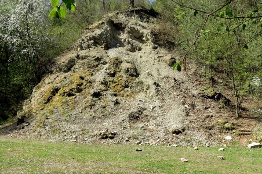 Muschelkalkkante am Sonnberg.JPG