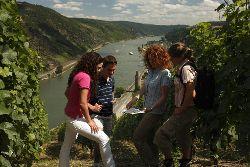 Wandern wo der Wein wächst