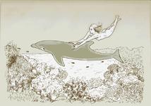 Nixe (Andreas Schildhauer)