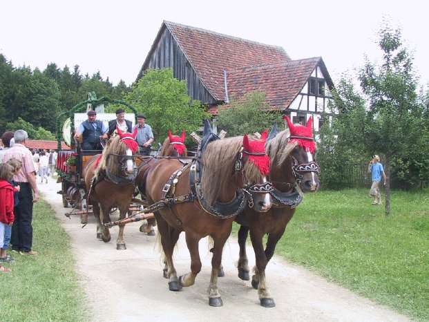 FLM Neuhausen Fuhrmannstag Brauereigespann.jpg