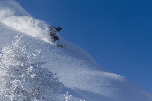 FJTVerbier_0500TBekkerbdf.jpg