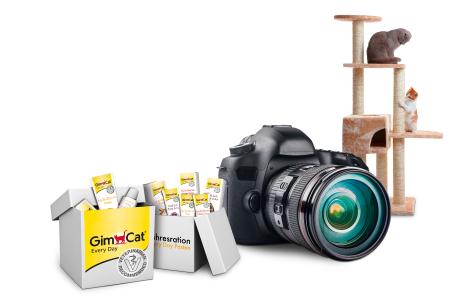 Fotoaktion Preise