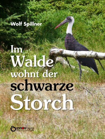 Storch_cover.jpg