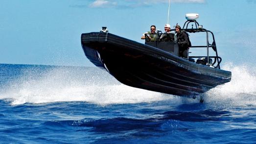 RIB Tours: Todesgefahr für Ostsee-Schweinswale. Foto: pixabay