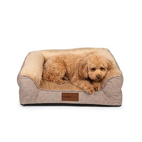 Katzen_und_Hundebett_Astro_S_Hauptbild_mit_Hund.jpg
