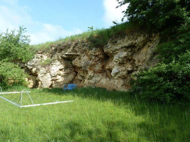 Riesseekalke_am_Burschel_Christine_Hornung.jpg