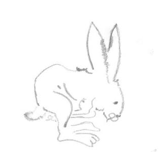 Osterhase